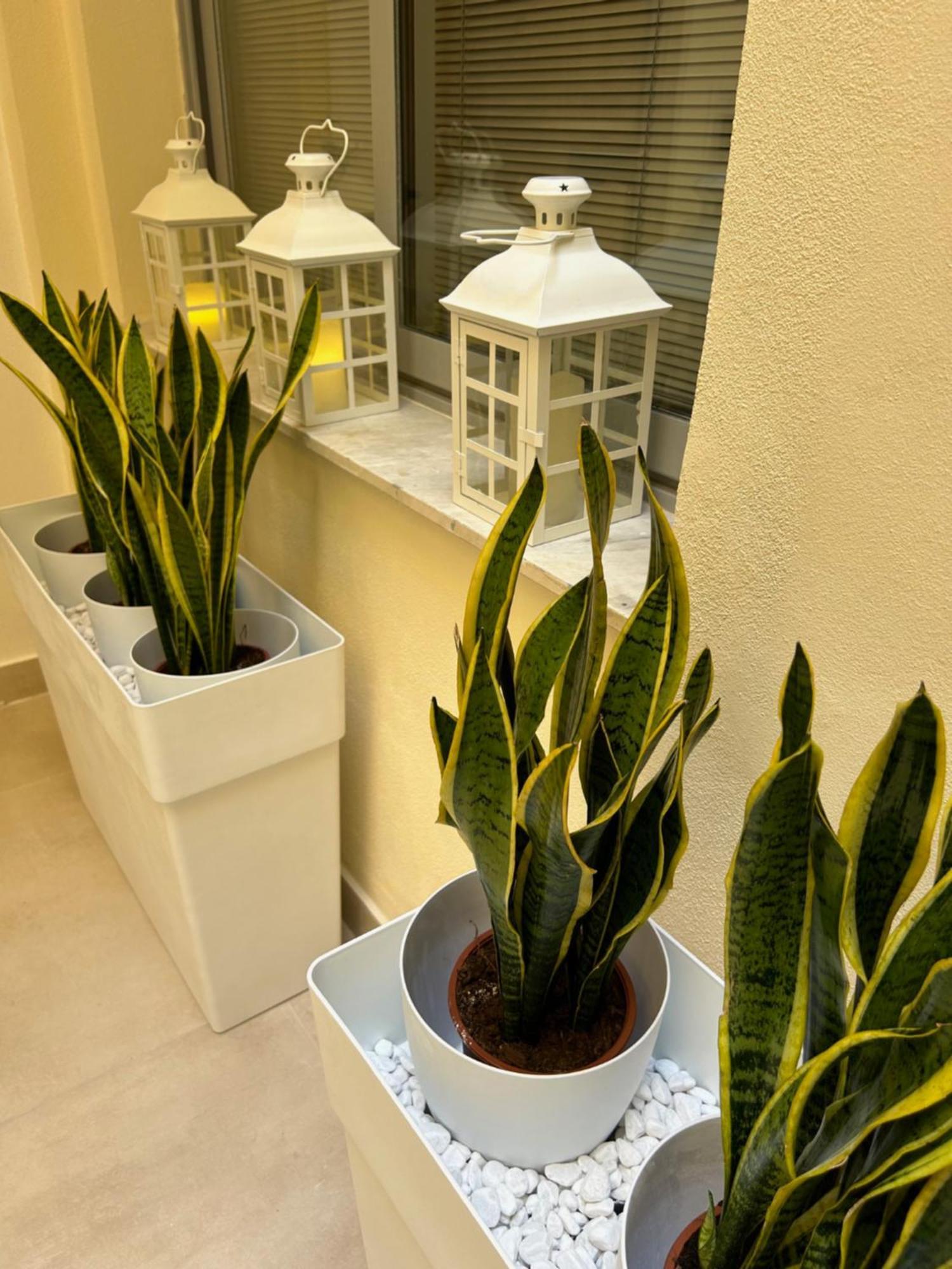 Casa Lounge Costituzione Hotel Cagliari Ngoại thất bức ảnh